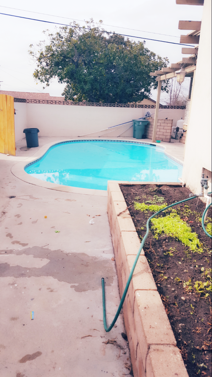  Before and After Results! !!!!